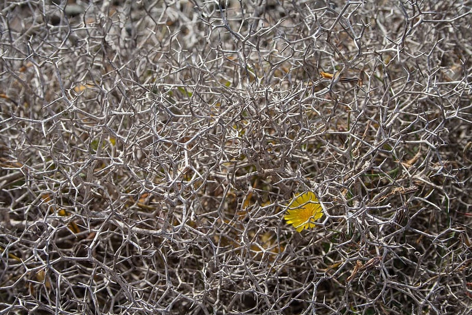 Coimentario a las lecturas del Triduo Pascual