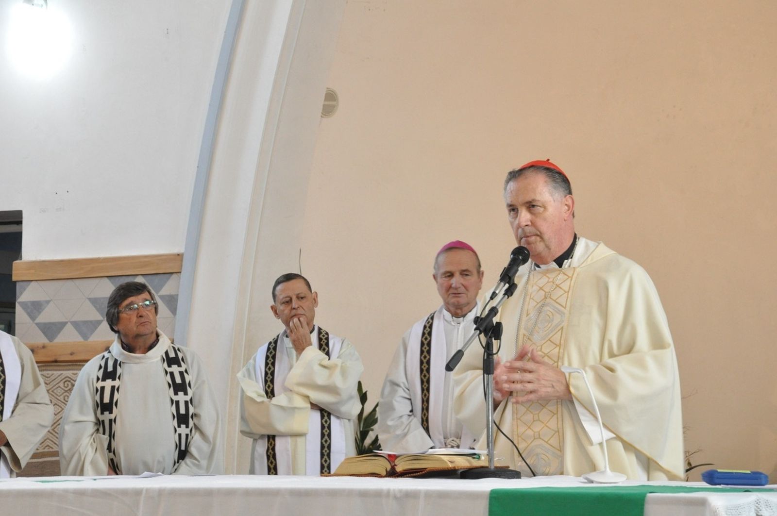 Cardenal Ángel Fernández Artime SDB