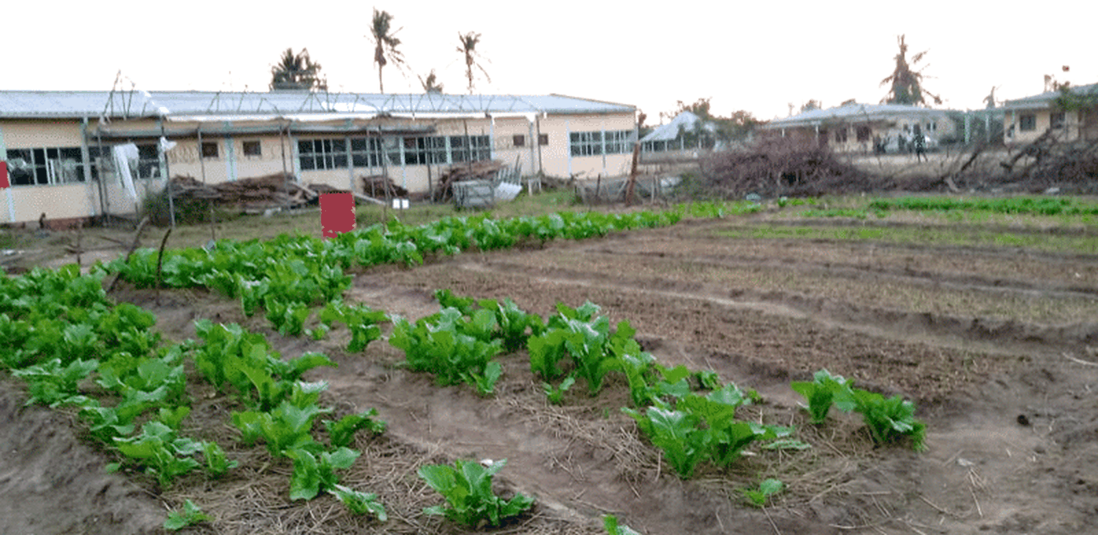Lar San Jerónimo (Beira, Mozambique)