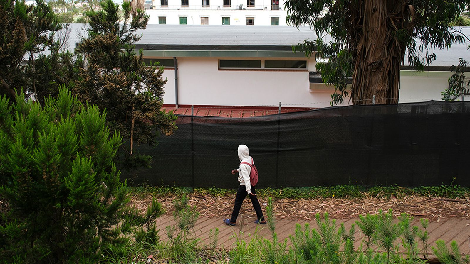 Centro de acogida de inmigrantes en Las raíces, Tenerife