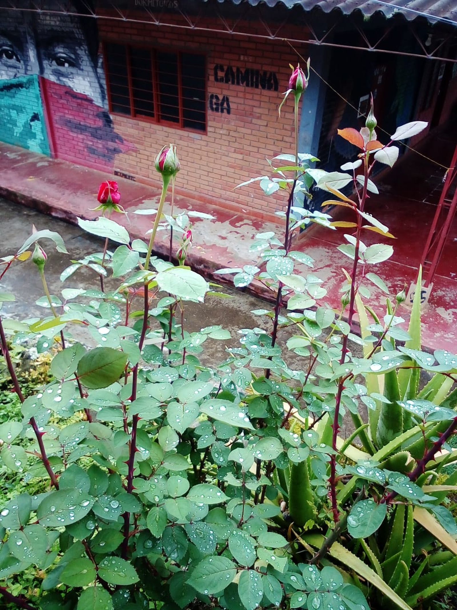 PHOTO-2024-07-22-13-29-21 2