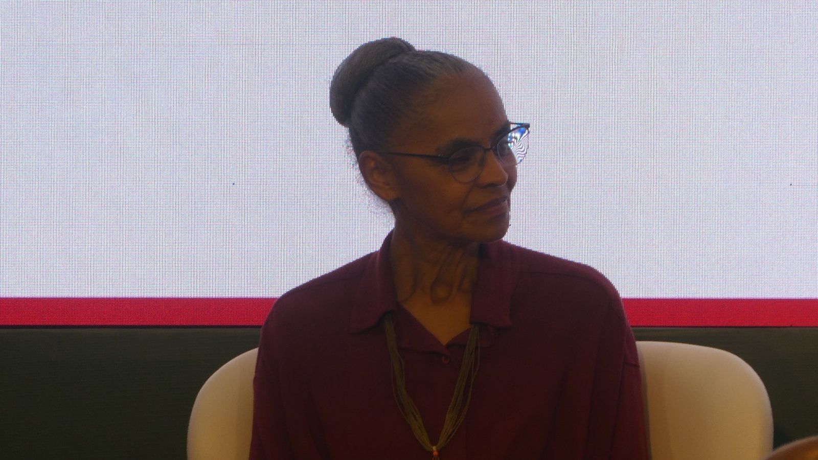 Marina Silva RUC