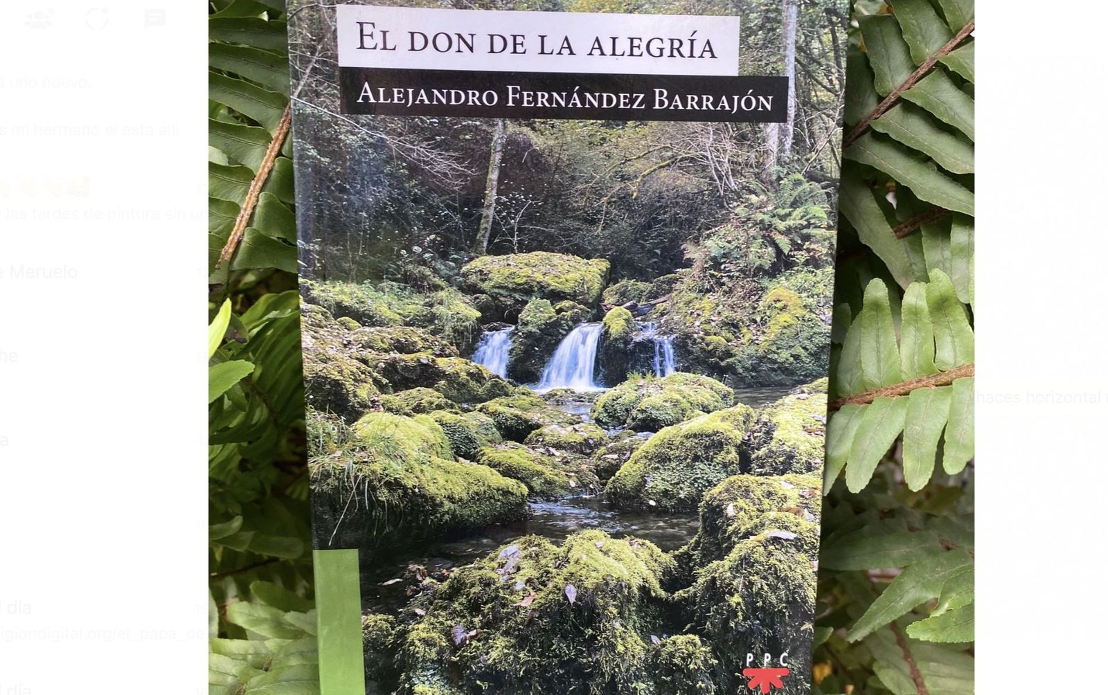 “El don de la alegría” Madrid .PPC 2023