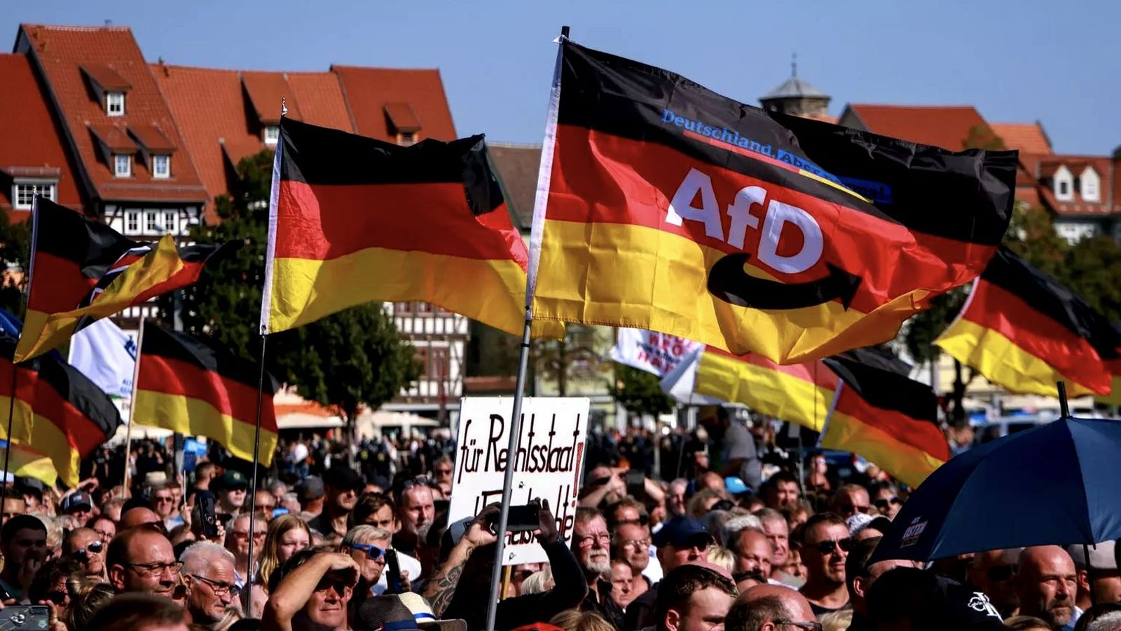 Seguidores del AfD
