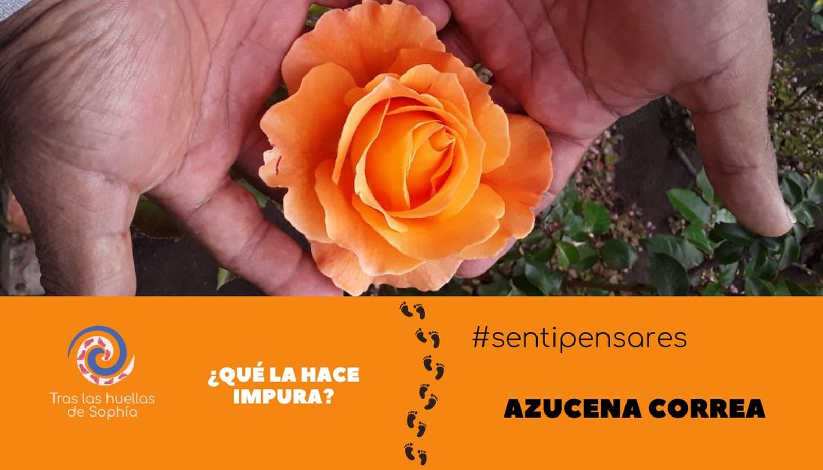 ¿Qué la hace impura?