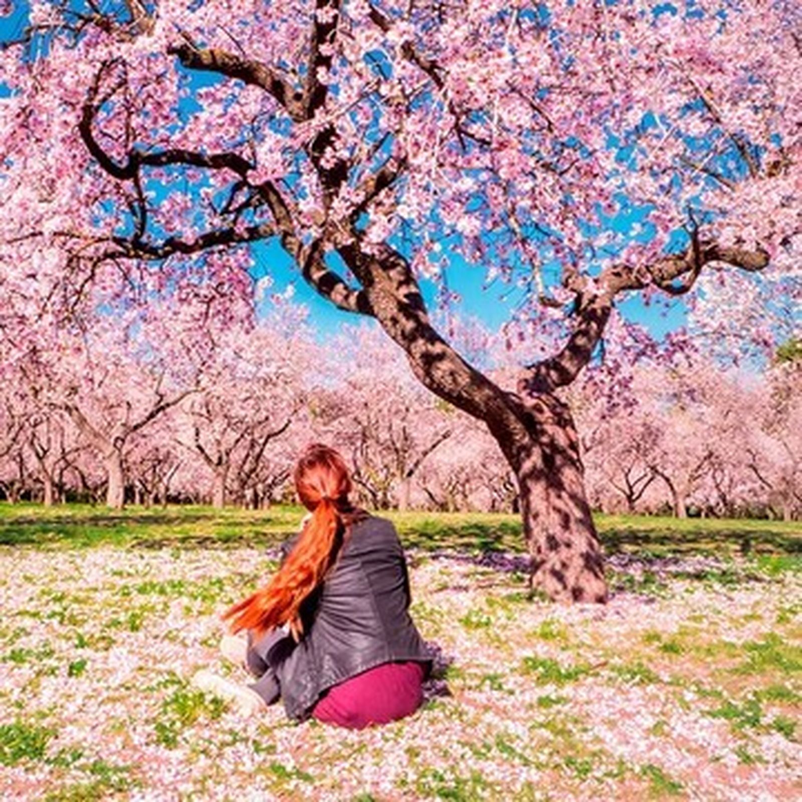 No dejes que se pierda