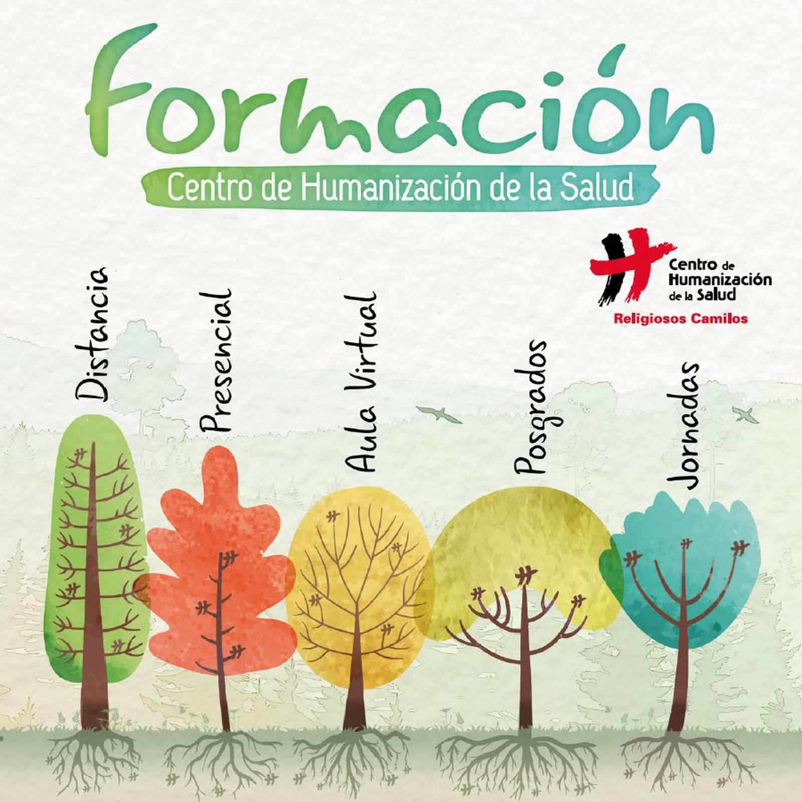 Formación Centro de Humanizacion de la Salud