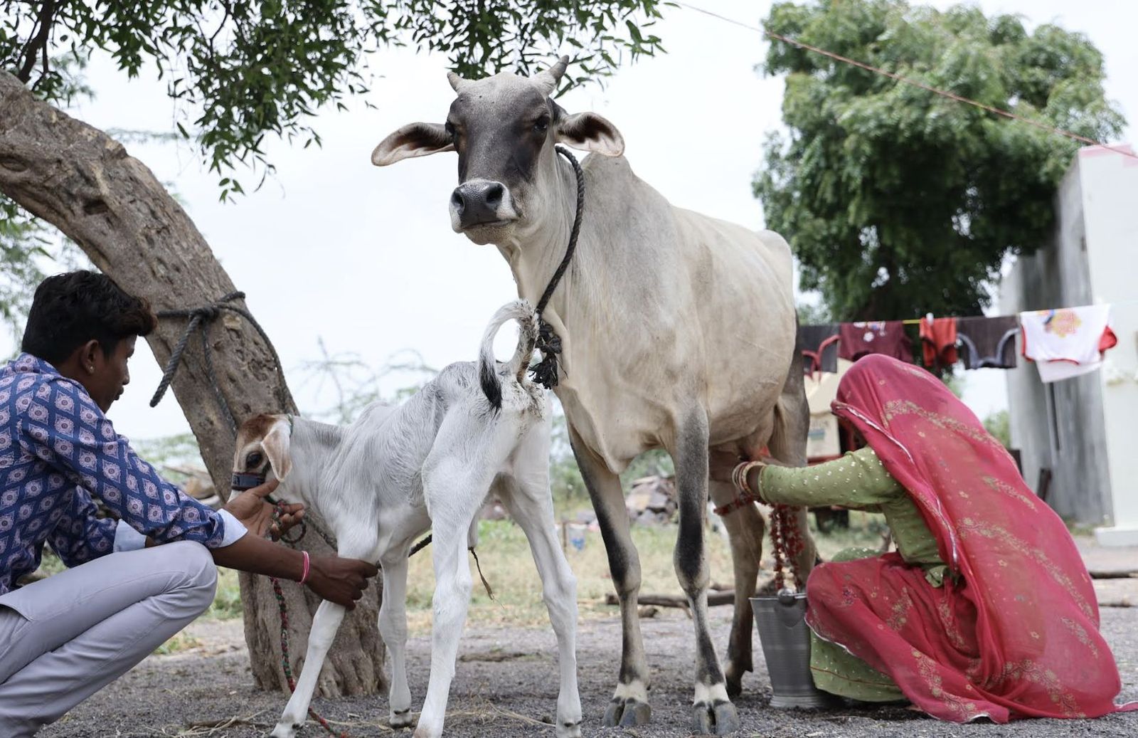 Proyectos de Manos Unidas contra el hambre y la desnutrición