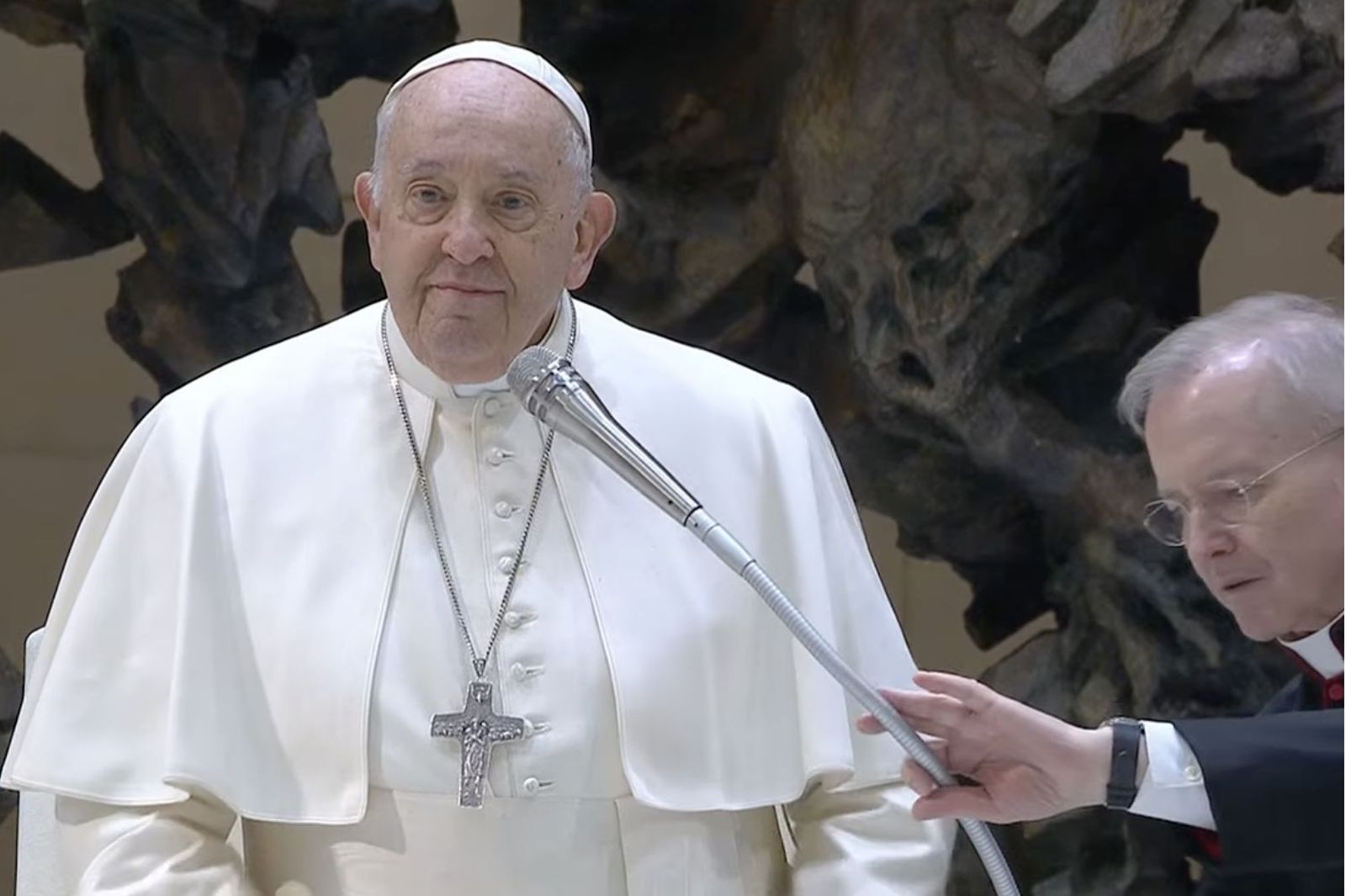 Francisco, en la audiencia general de este miércoles