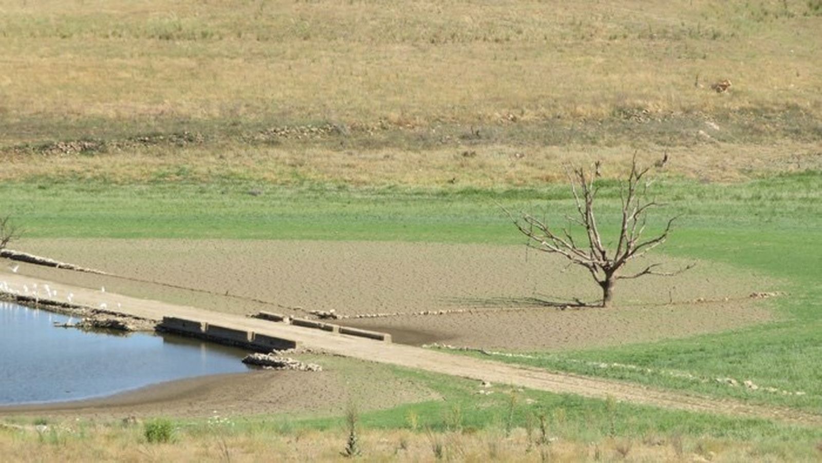 Reflexión pastoral sobre el problema del agua. Desde la comarca de Tentudía