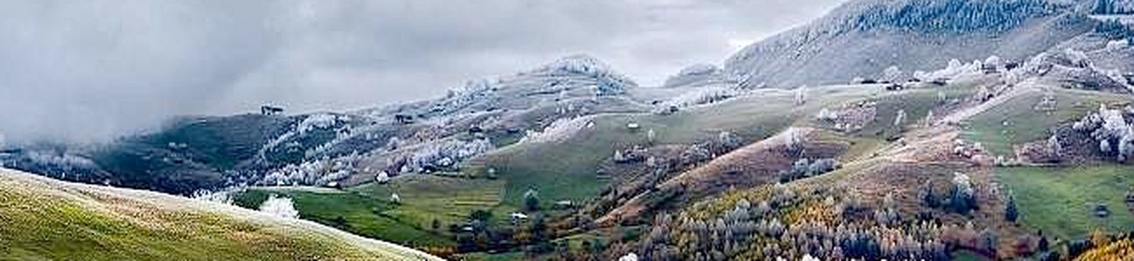 bach-grainger-tocata-fuga-bwv565