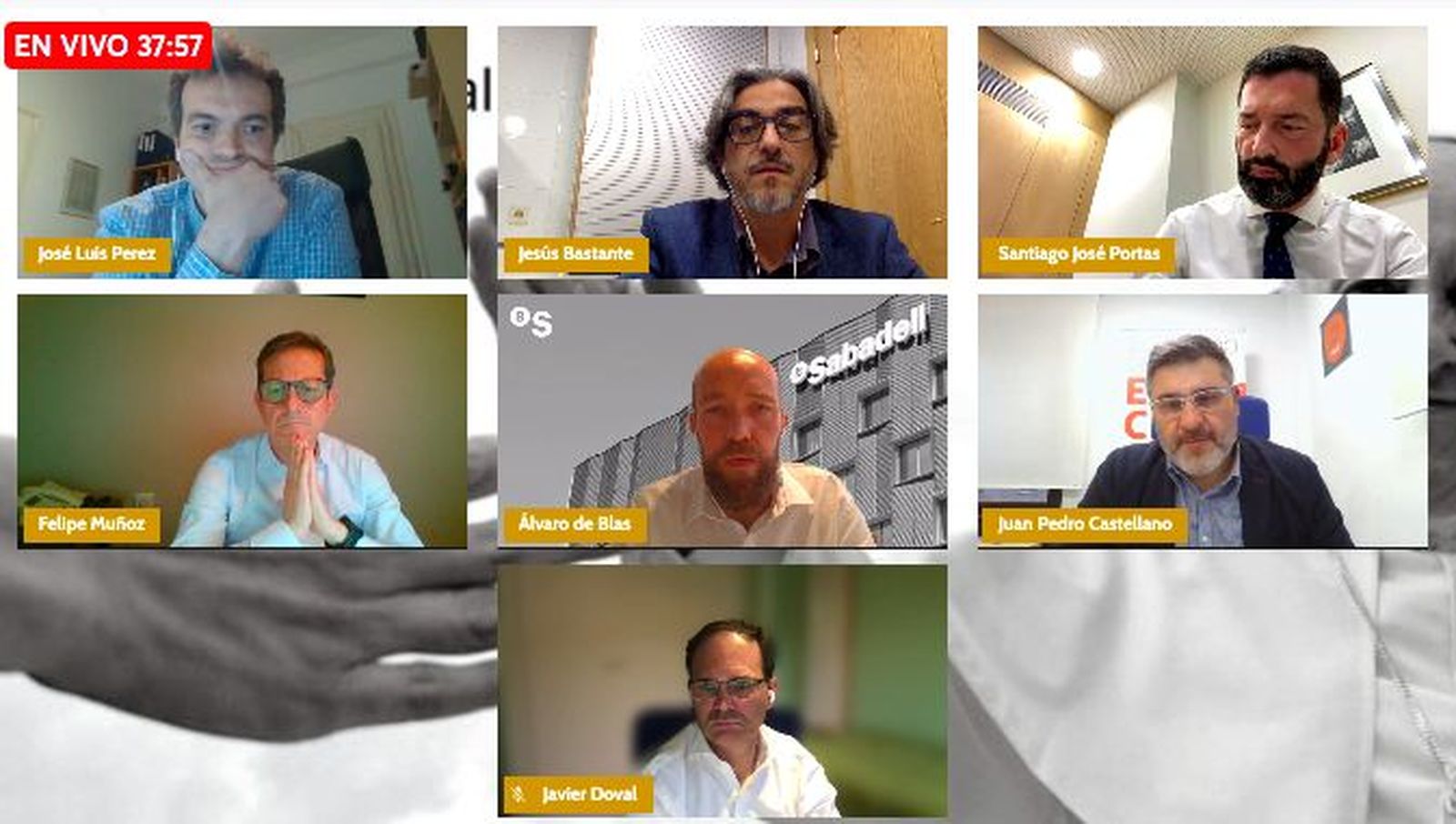 Todos los intervinientes en el webinar