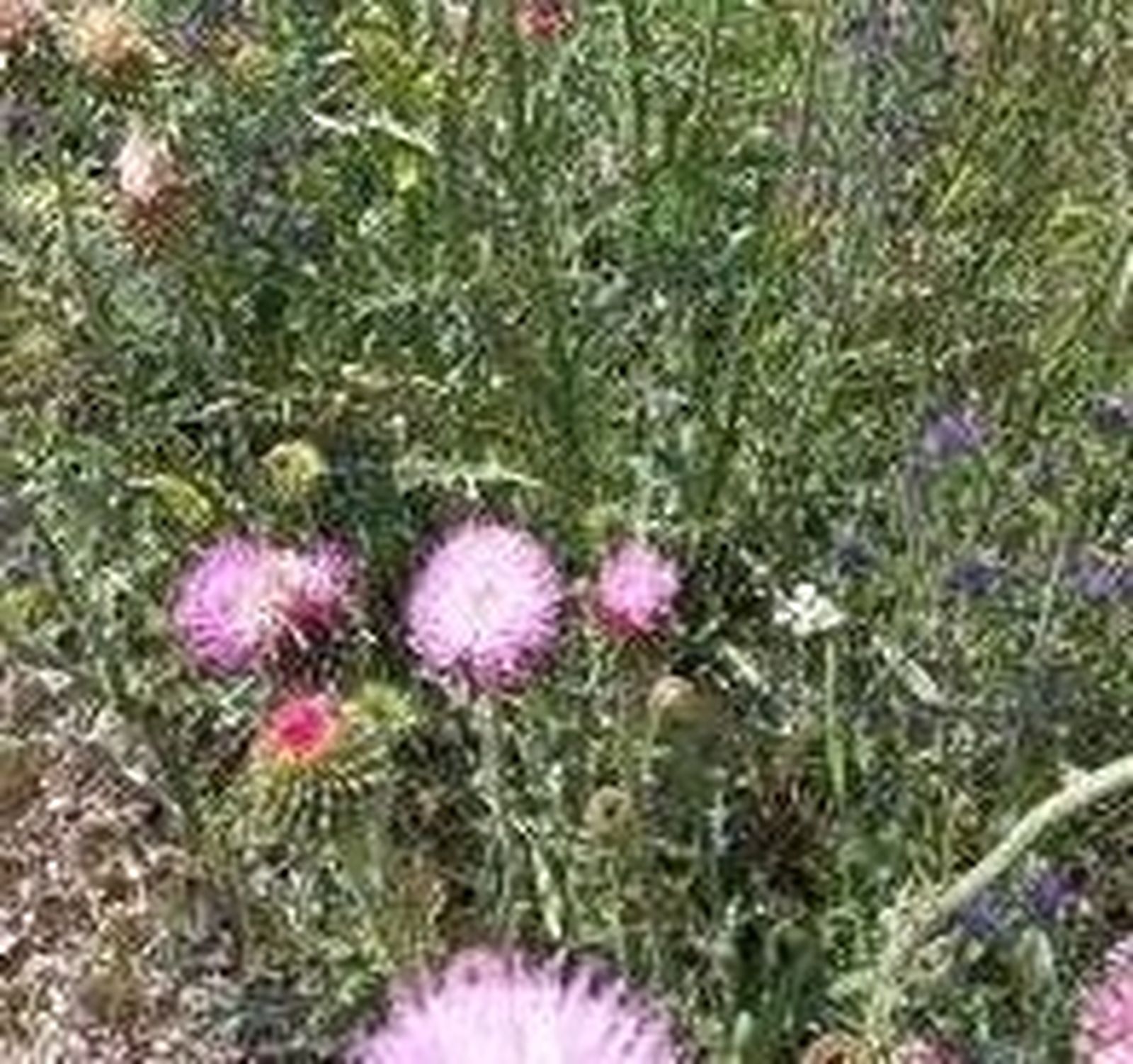 XXI Domingo del Tiempo Ordinario