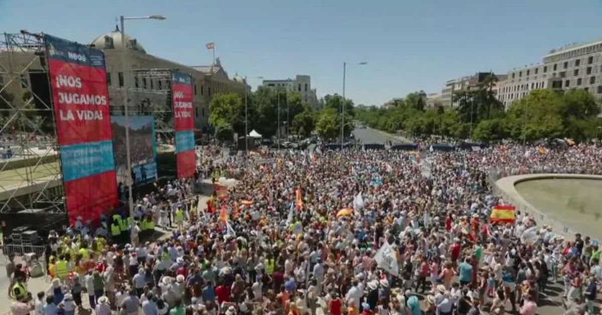 VOX y la ultraderecha católica protestan en Madrid contra la ley del aborto