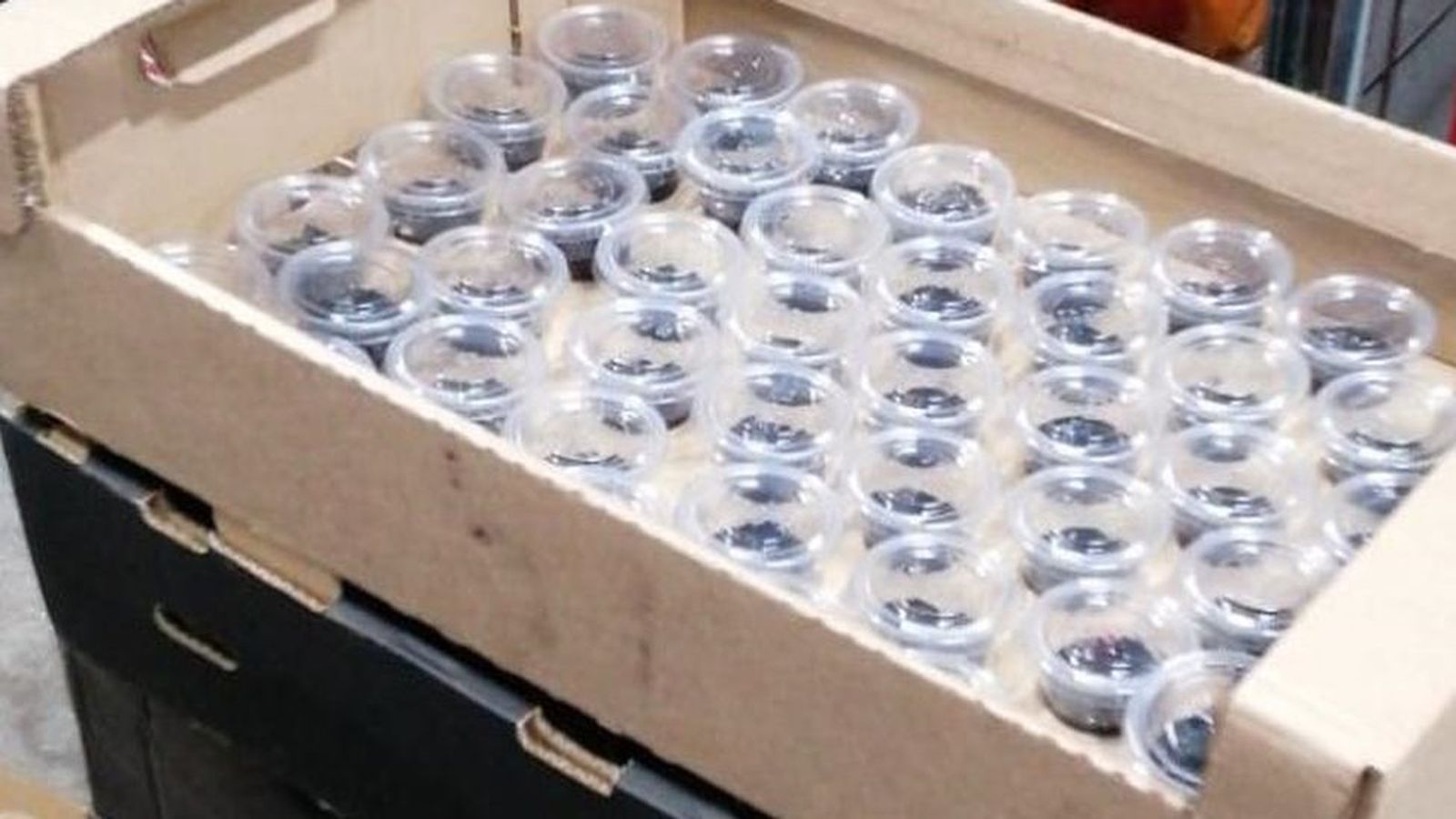 Las 'cenizas para llevar' de la Iglesia irlandesa