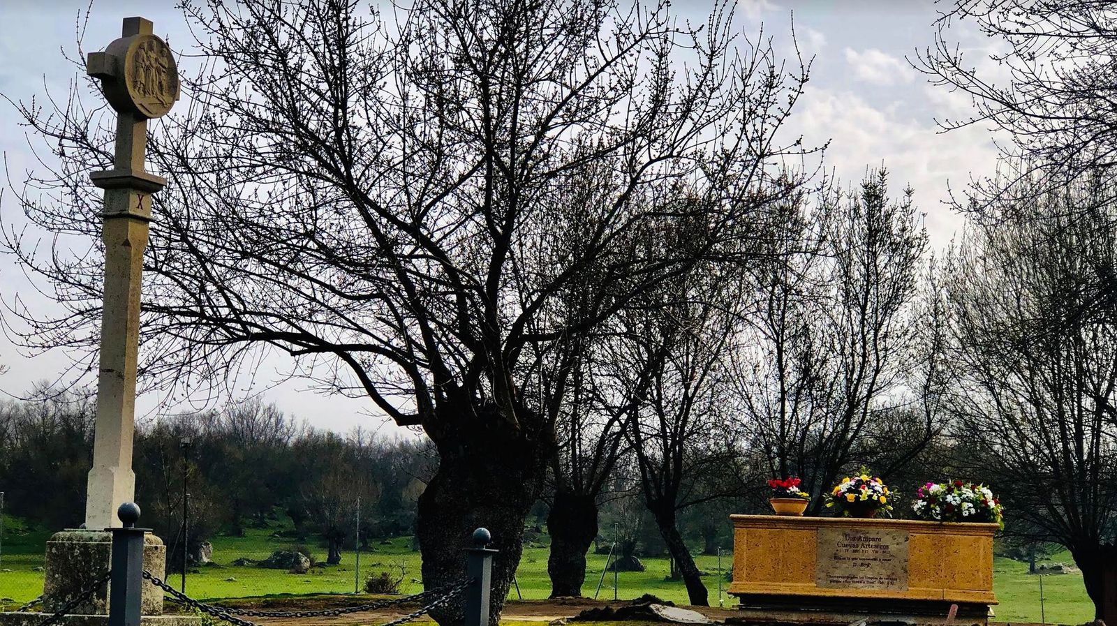 La sepultura de Luz Amparo