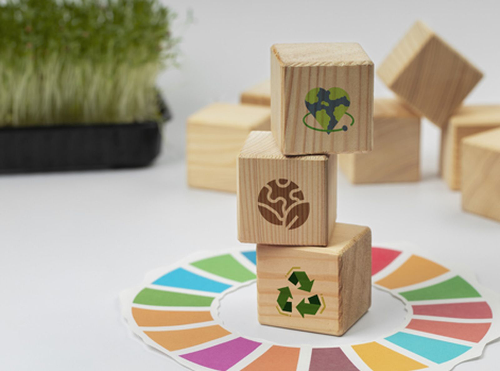 Universidad Loyola y ODS