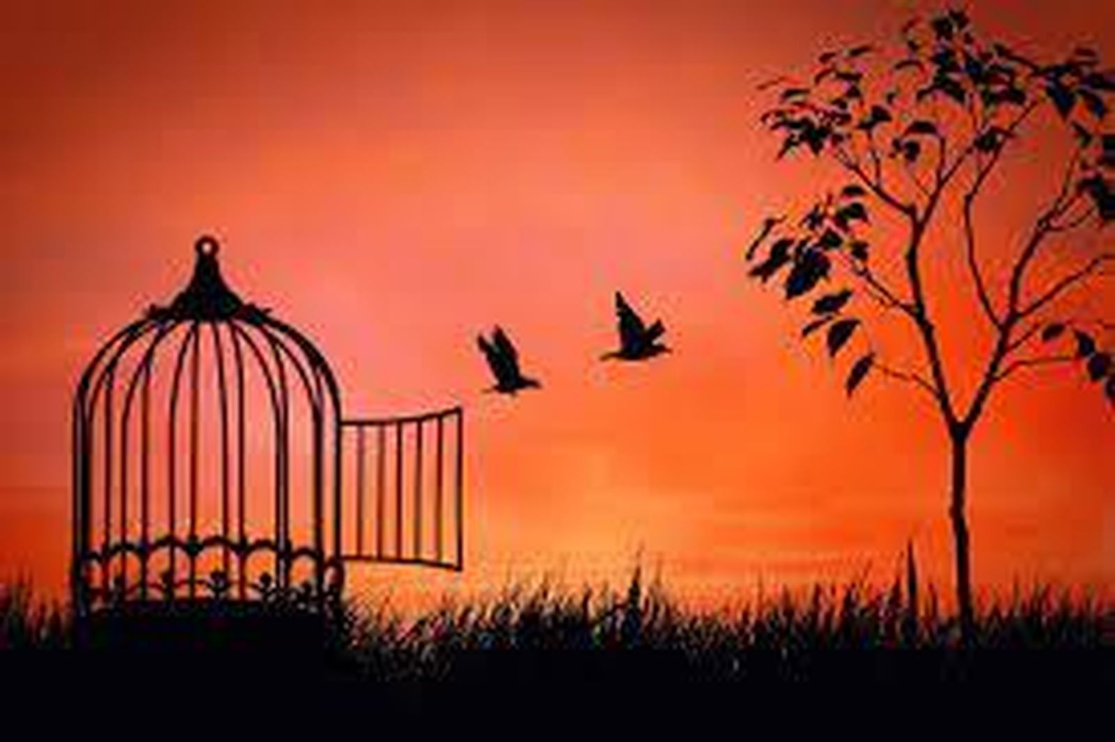 La libertad empieza dentro