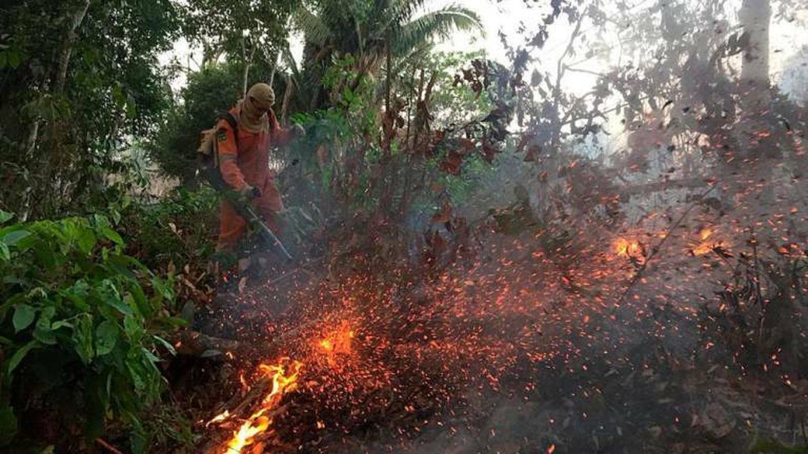 Arde la Amazonía