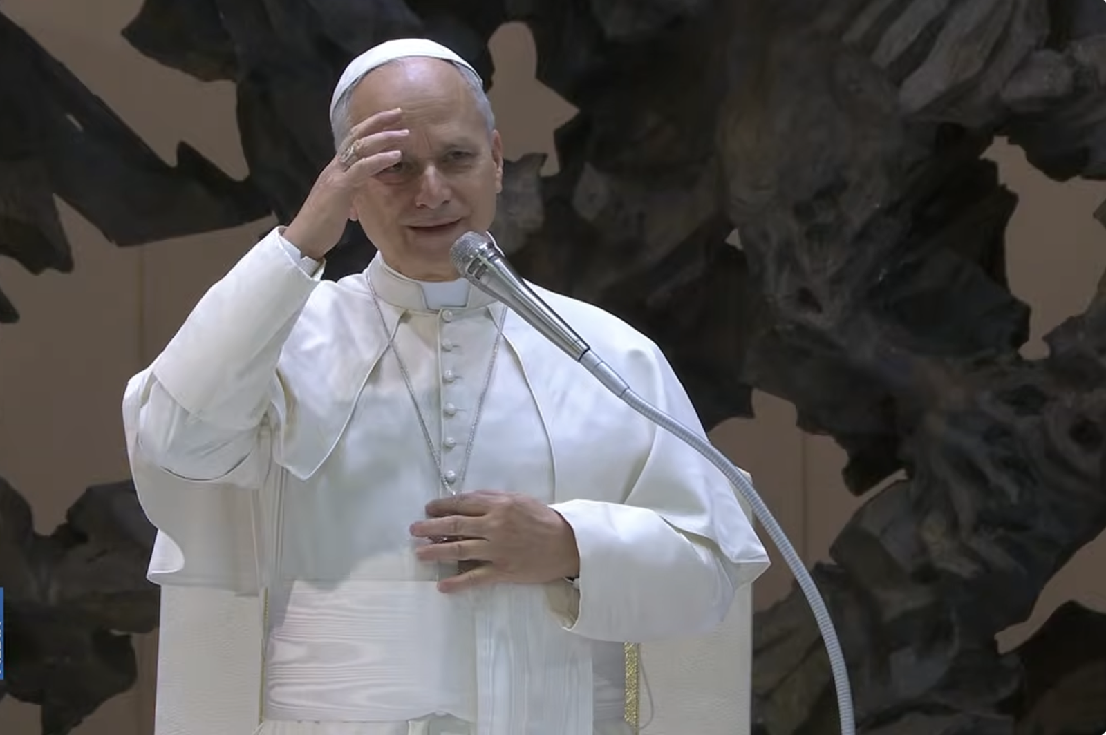 El Papa da comienzo a la audiencia general