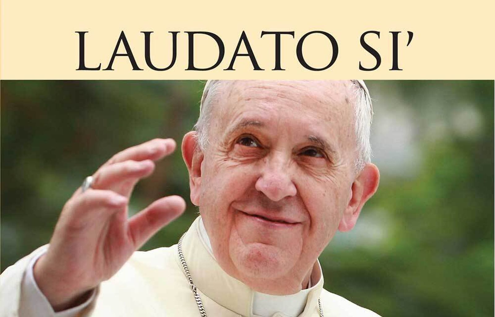 Francisco - Laudato Si