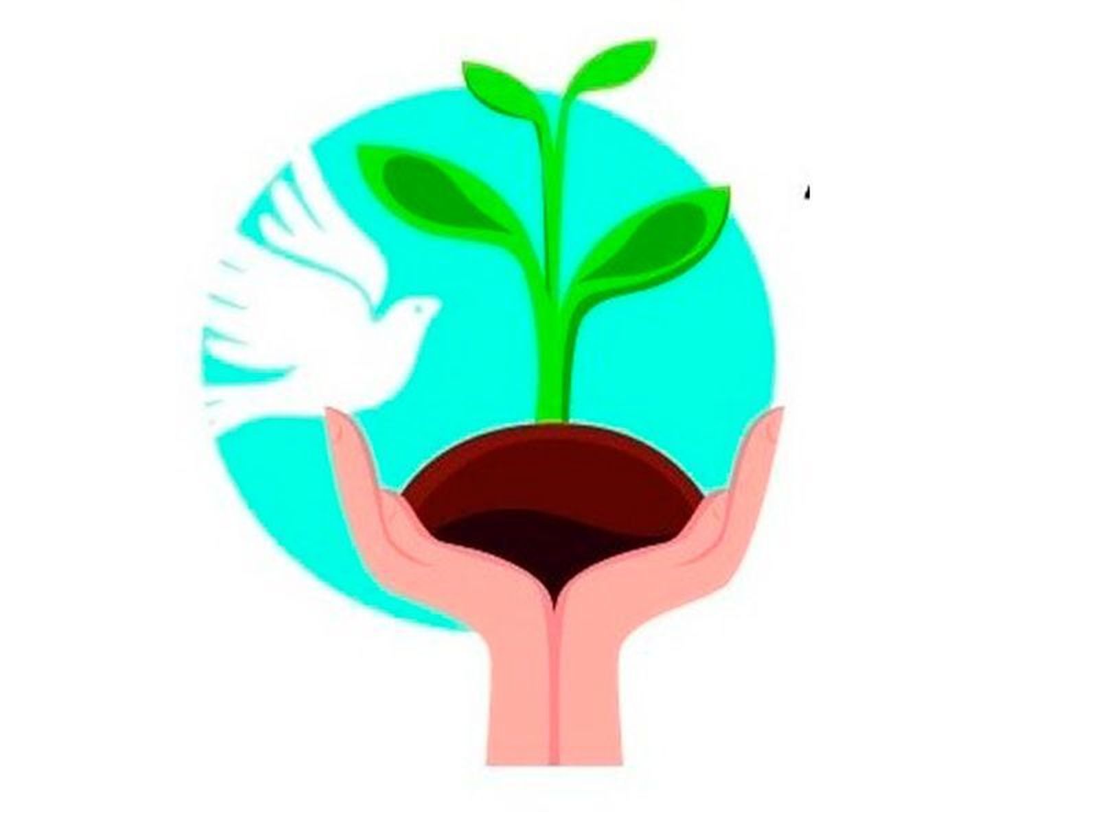 Mensaje para la Jornada de Oración por el Cuidado de la Creación