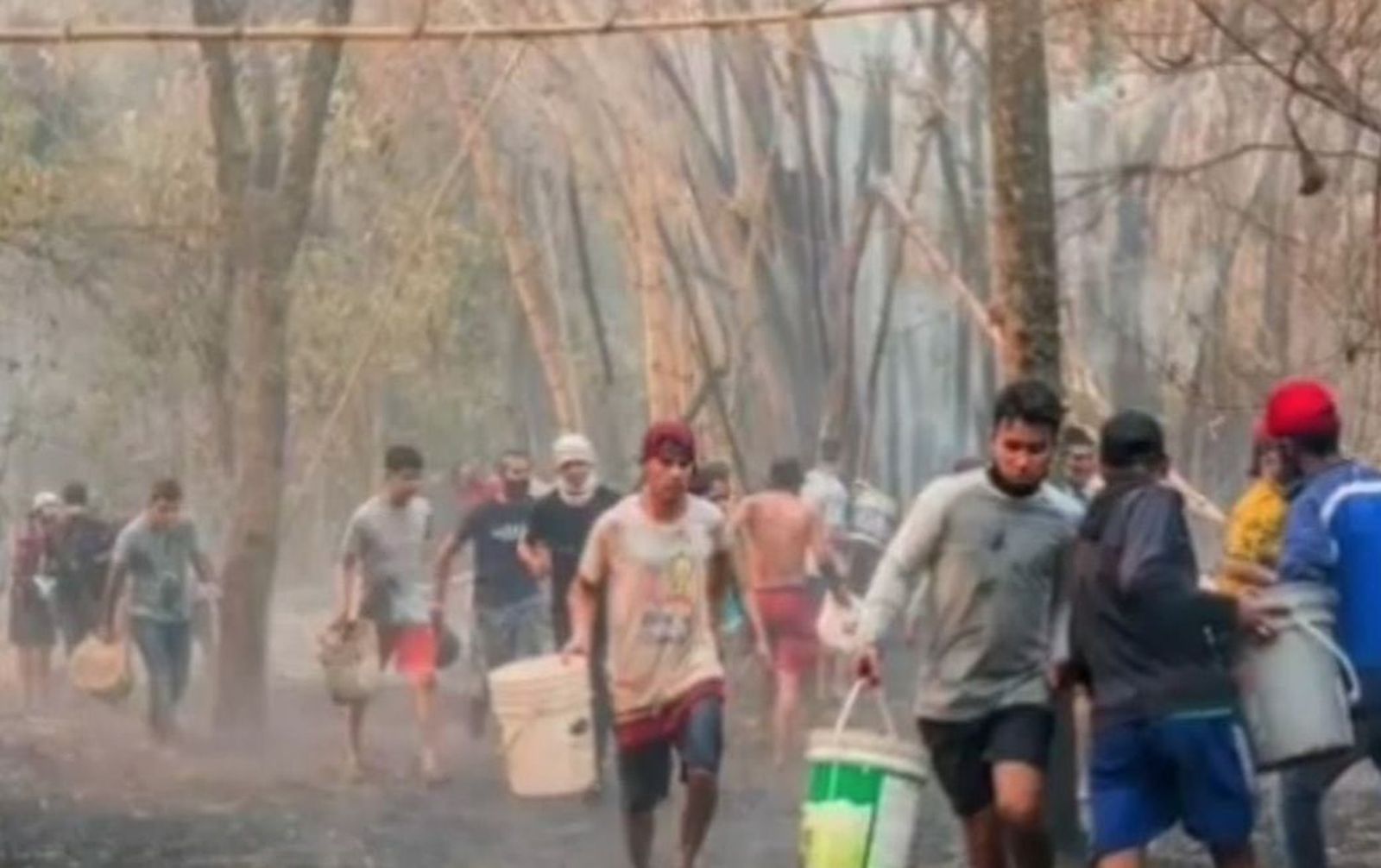 Protegiendo los bosques del interior de Paraguay