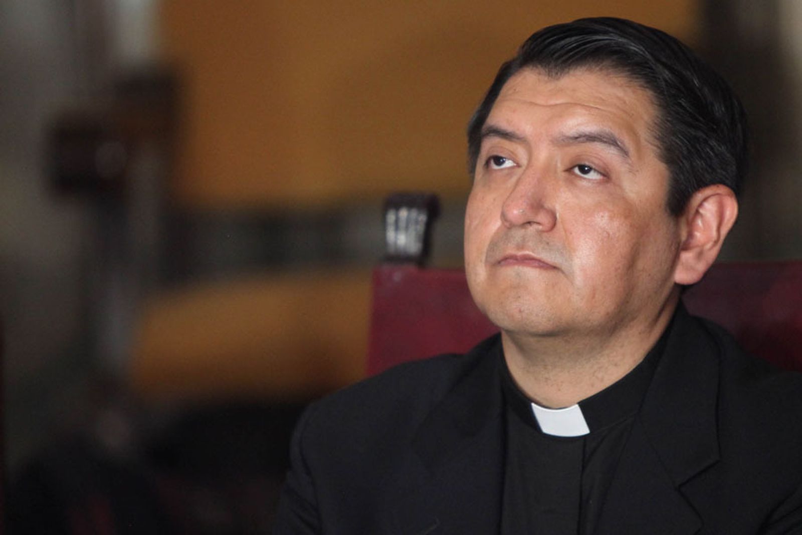 Valdemar Romero. Arzobispado como "perro mudo"