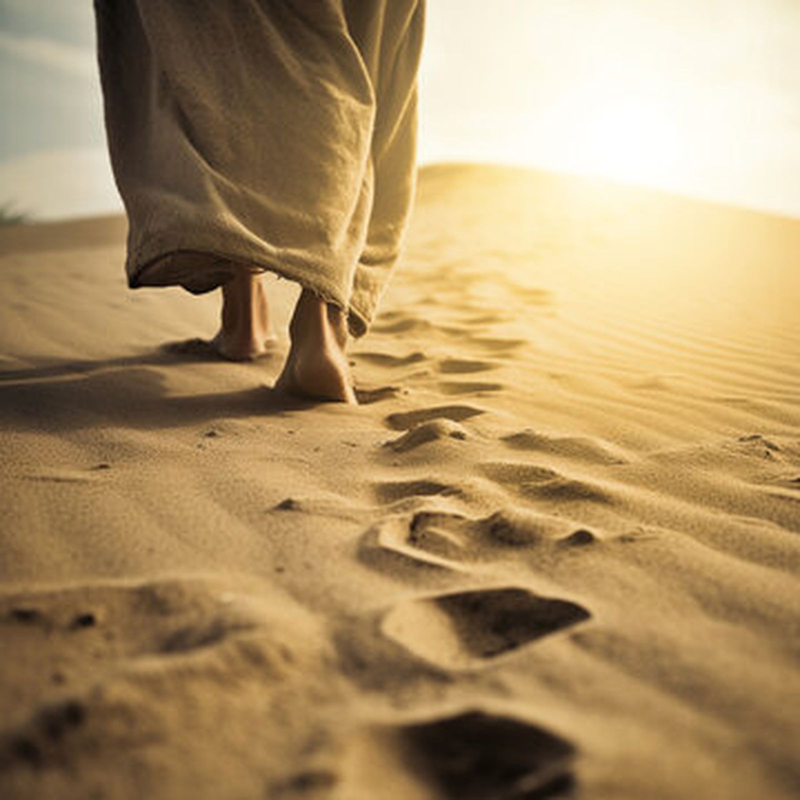 Camino