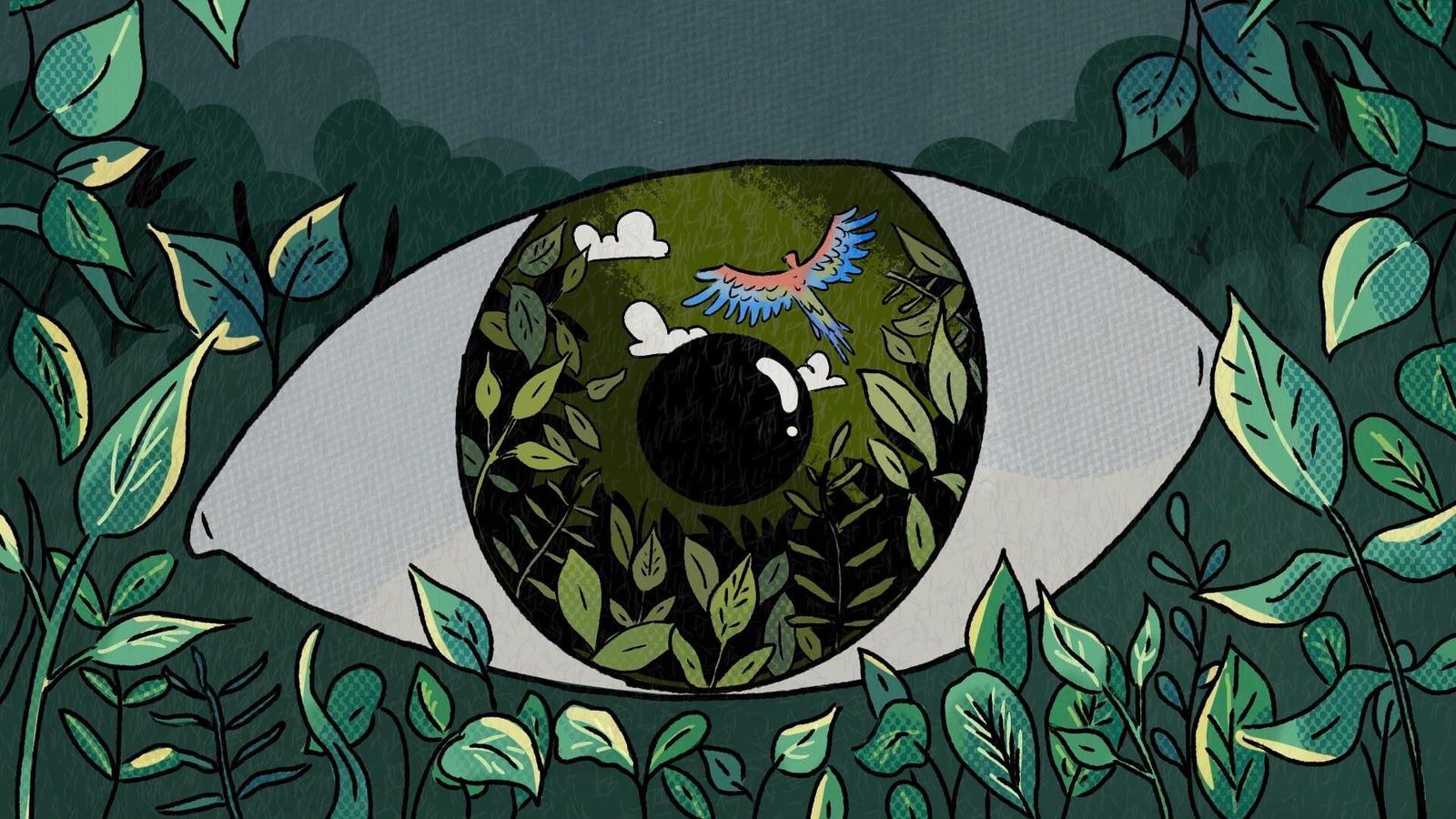 Conocimiento indígena