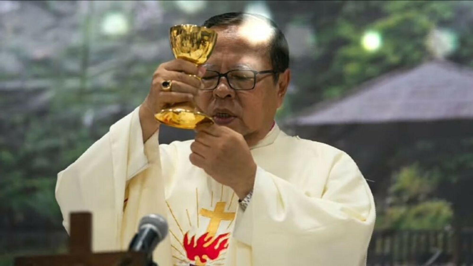 Ignatius Suharyo, neocardenal indonesio