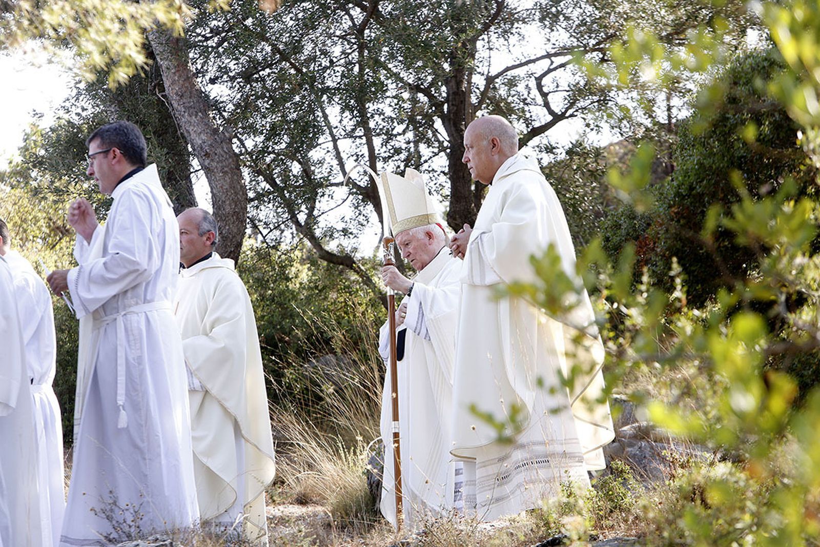 Cardenal Cañizares. Procesión