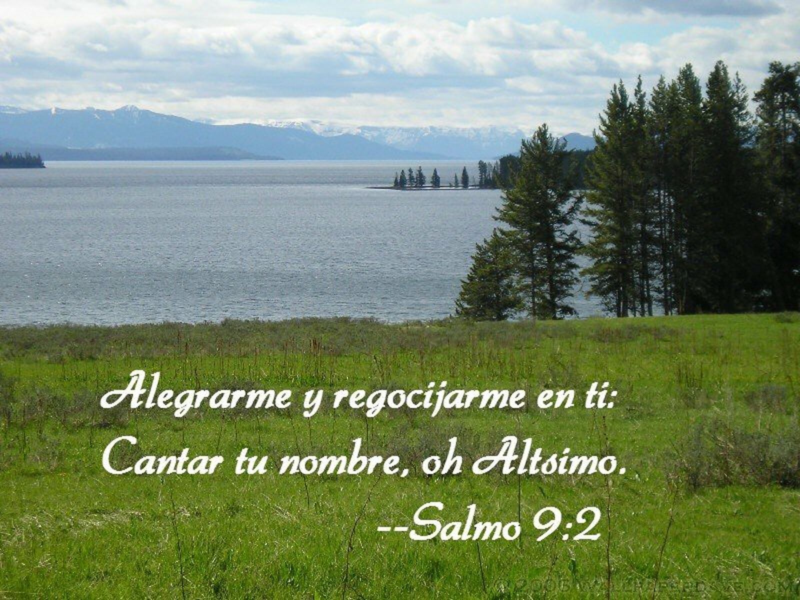 Salmo