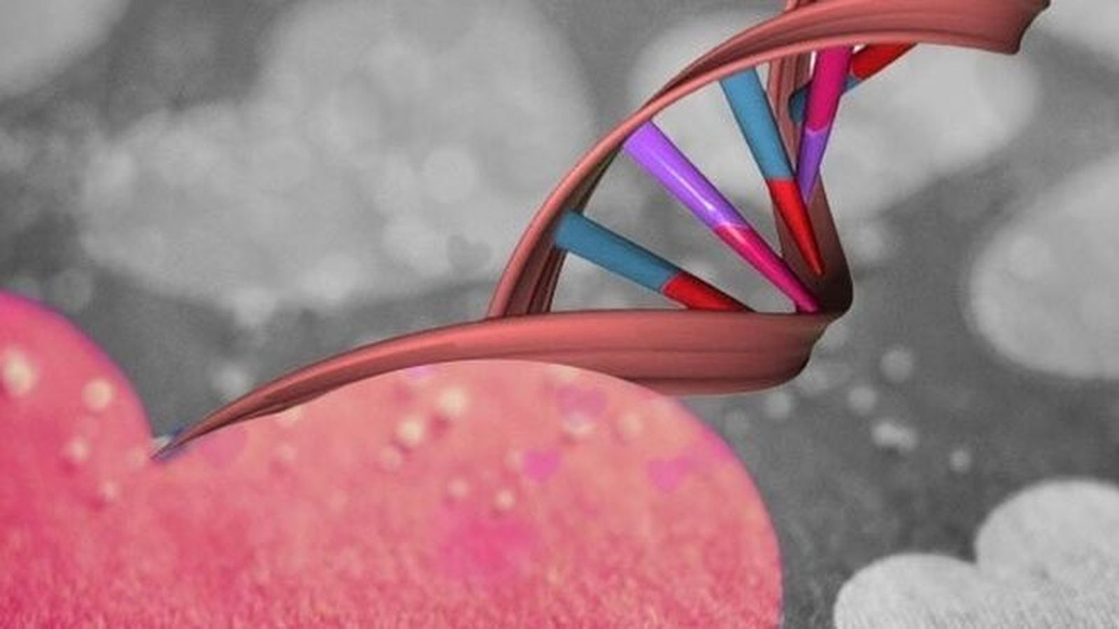 El amor forma parte del ADN humano