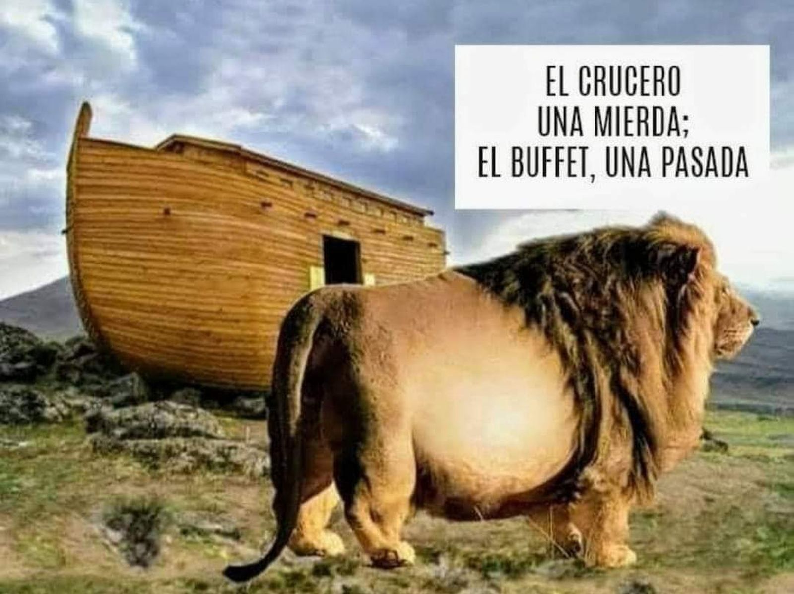 Un león en el arca