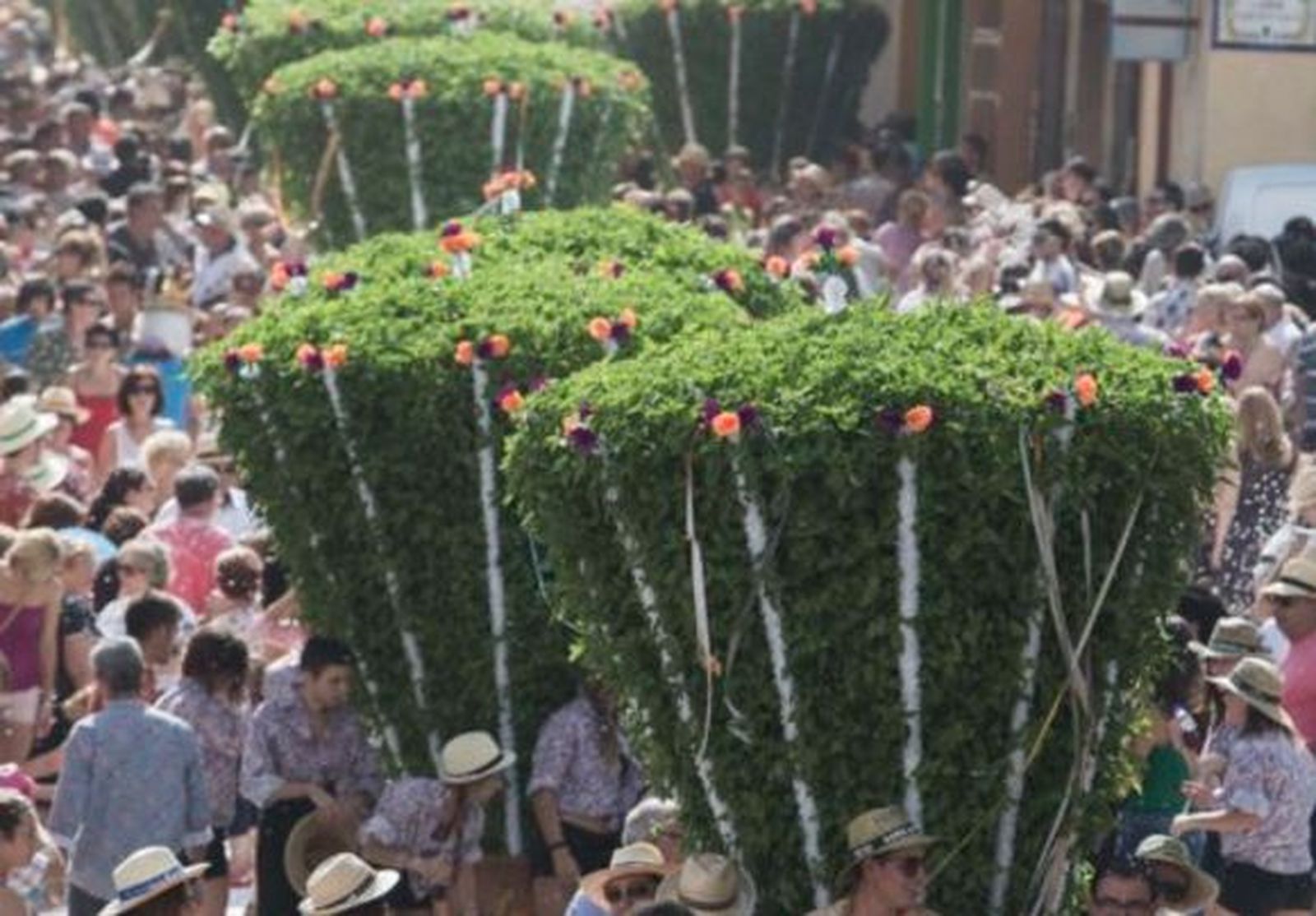 Albahacas a la Virgen de Agosto