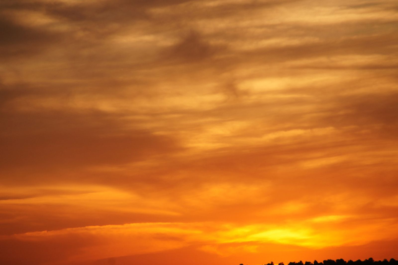 Camino de Luz: Trigesimoctava etapa