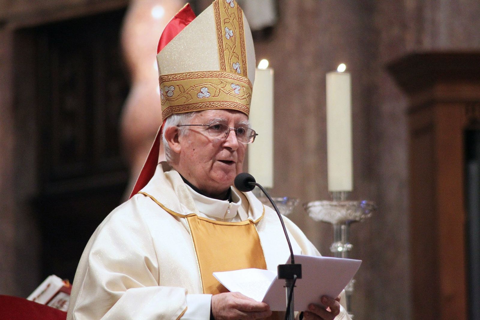 Cañizares lee una homilía