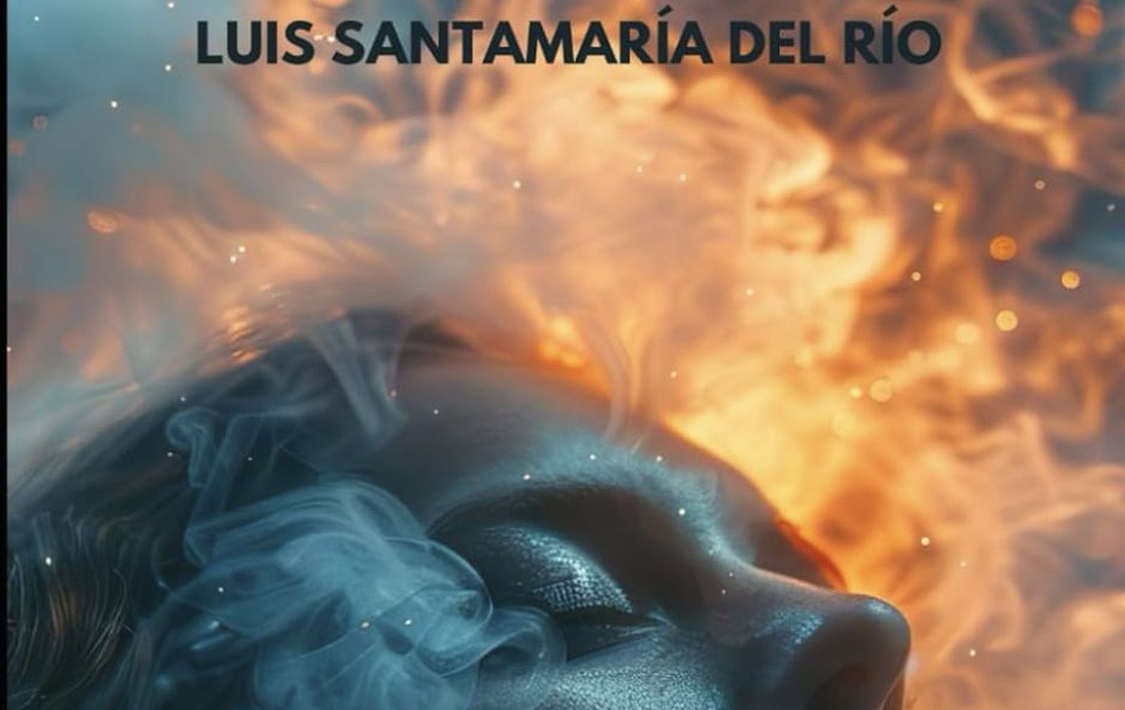 Libro de Santamaría