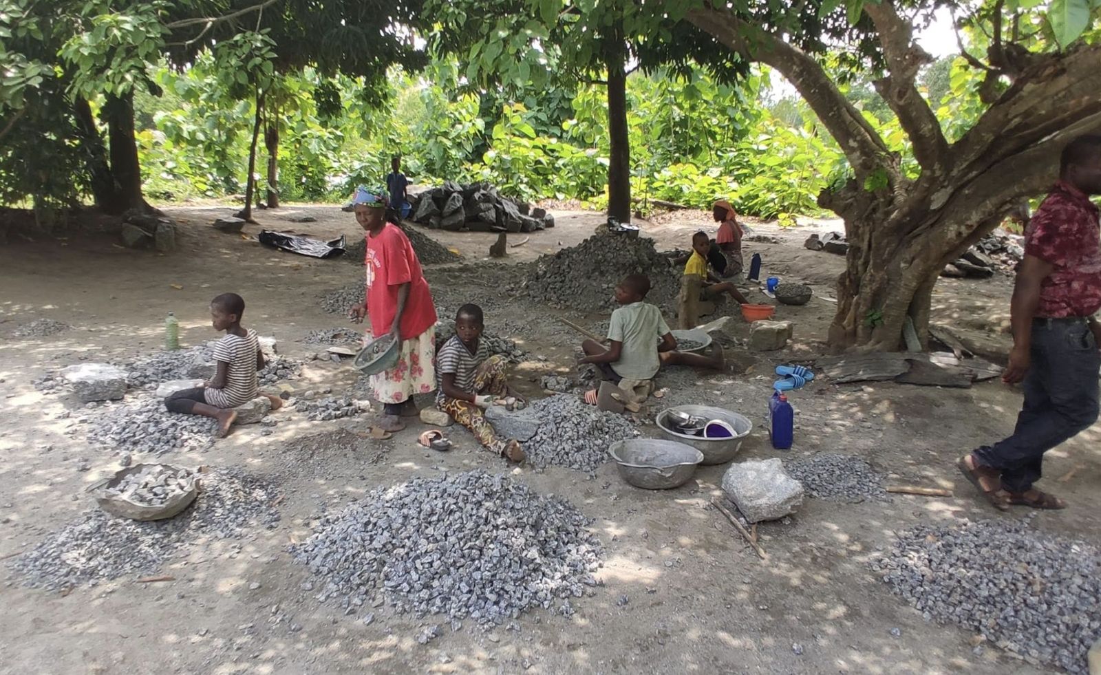 Niños de las canteras