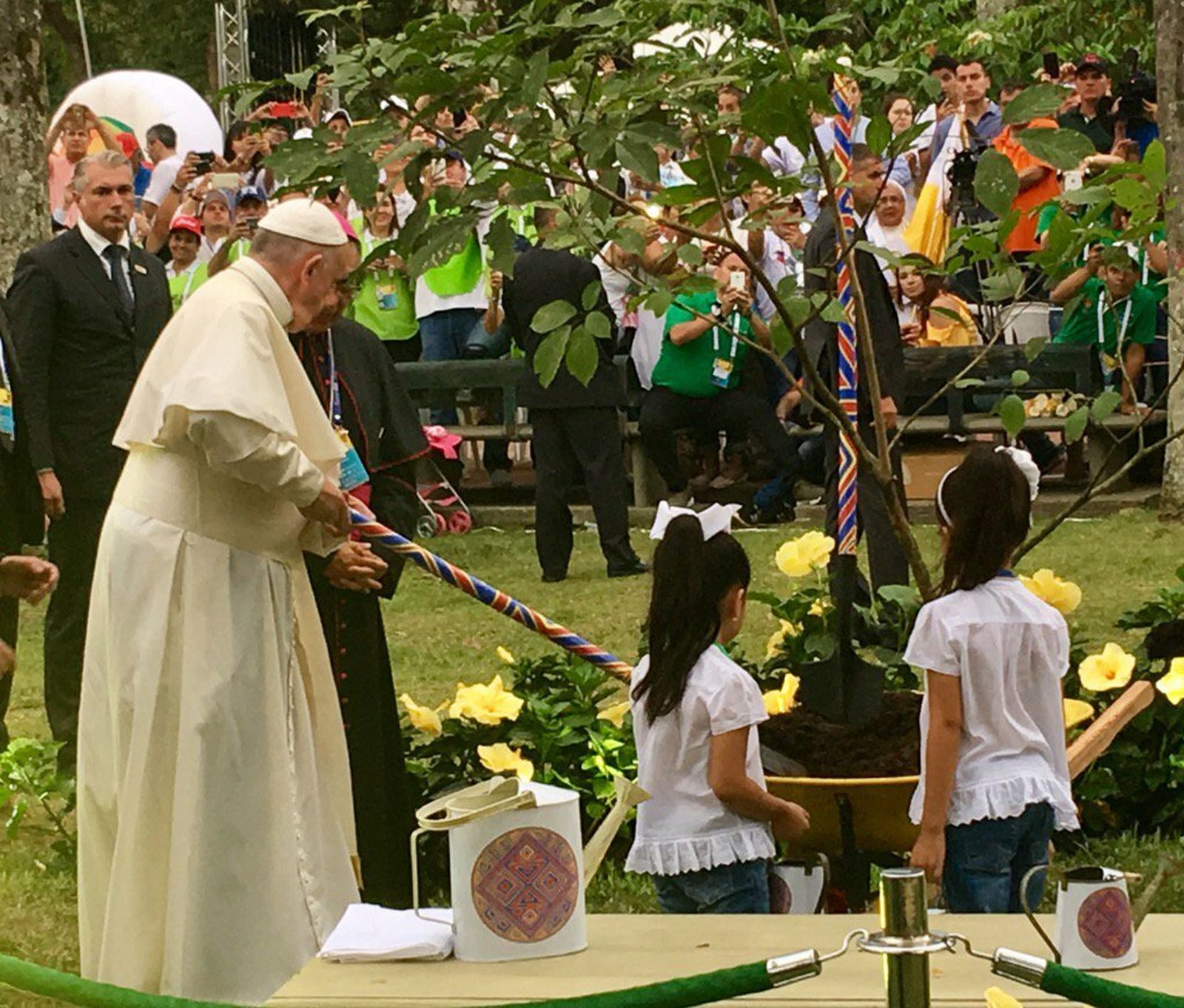 El Papa plantando un árbol