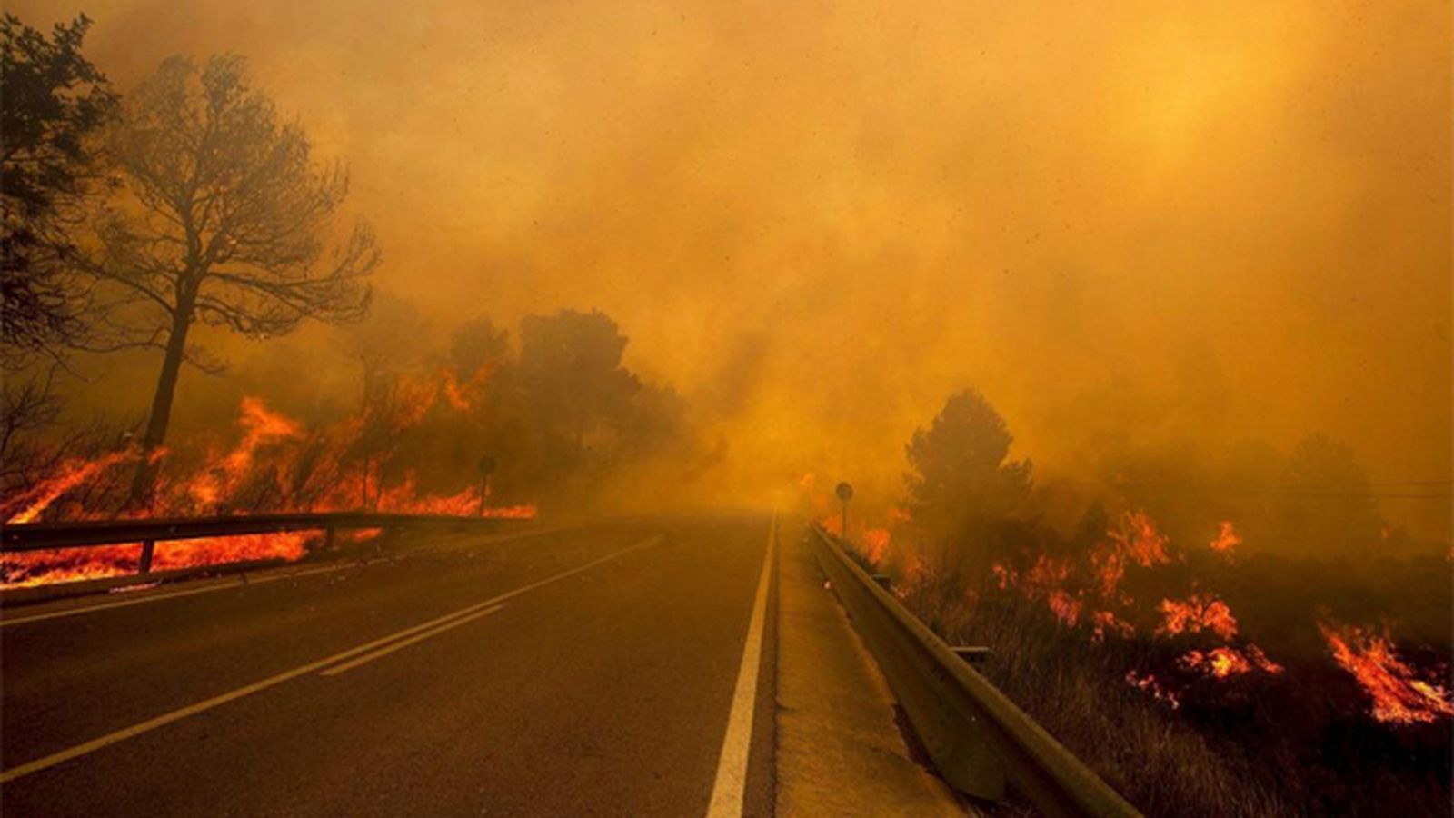 Incendios forestales en España