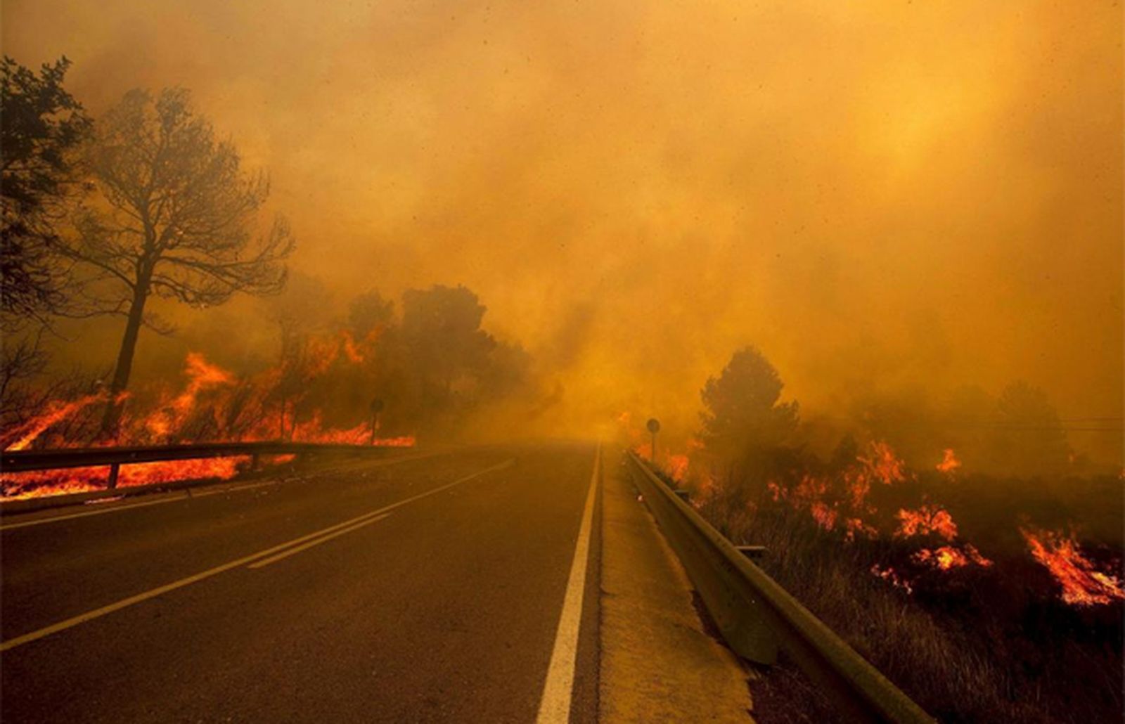 Incendios forestales en España