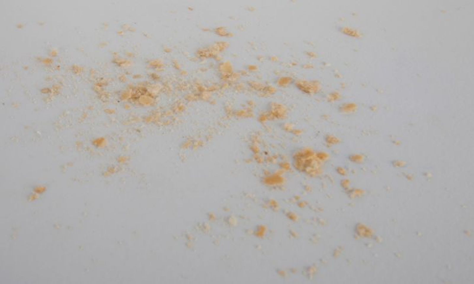 "Las migas también son pan", Wilfredo Prieto