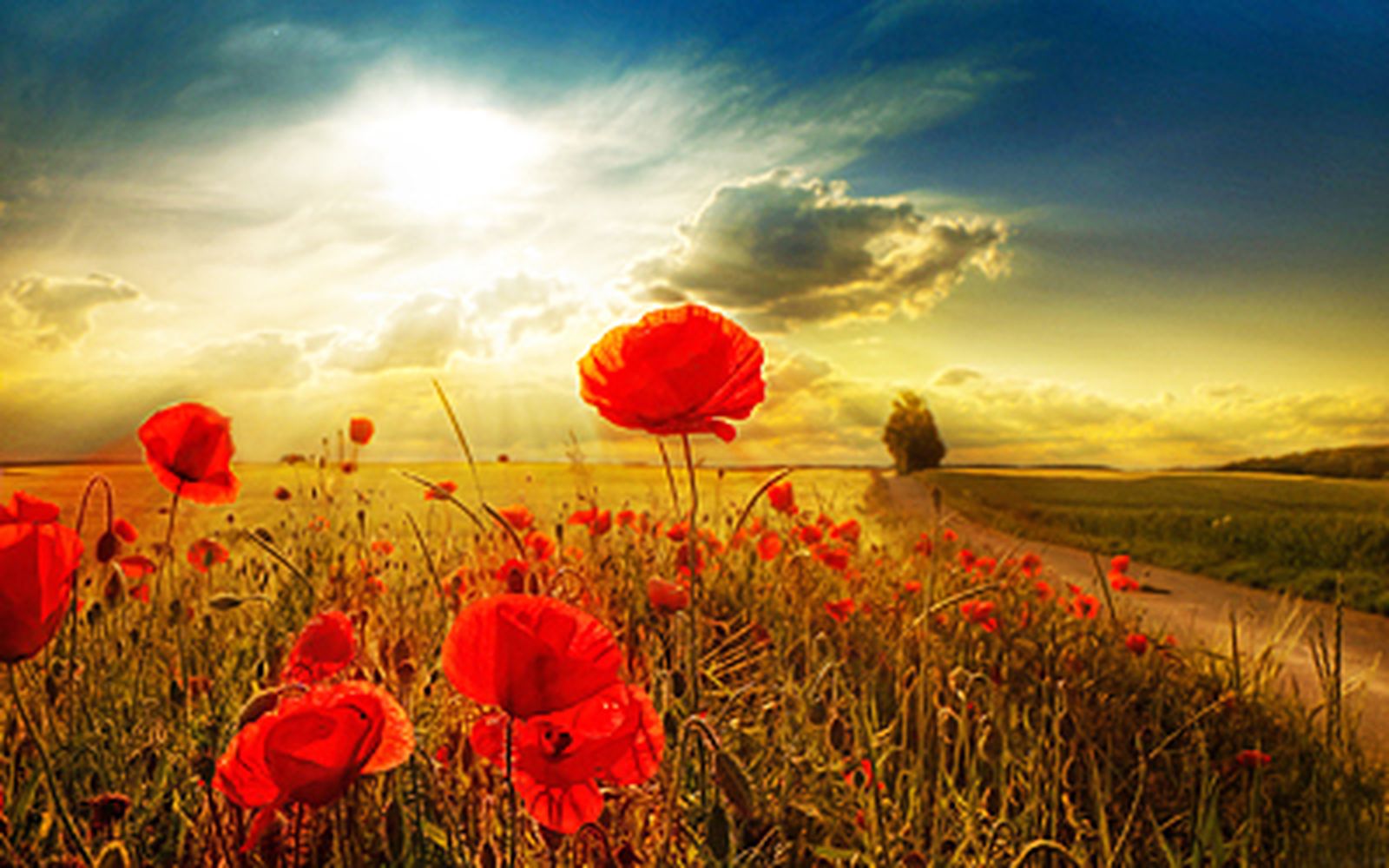 Versos para orar en la NATURALEZA 2