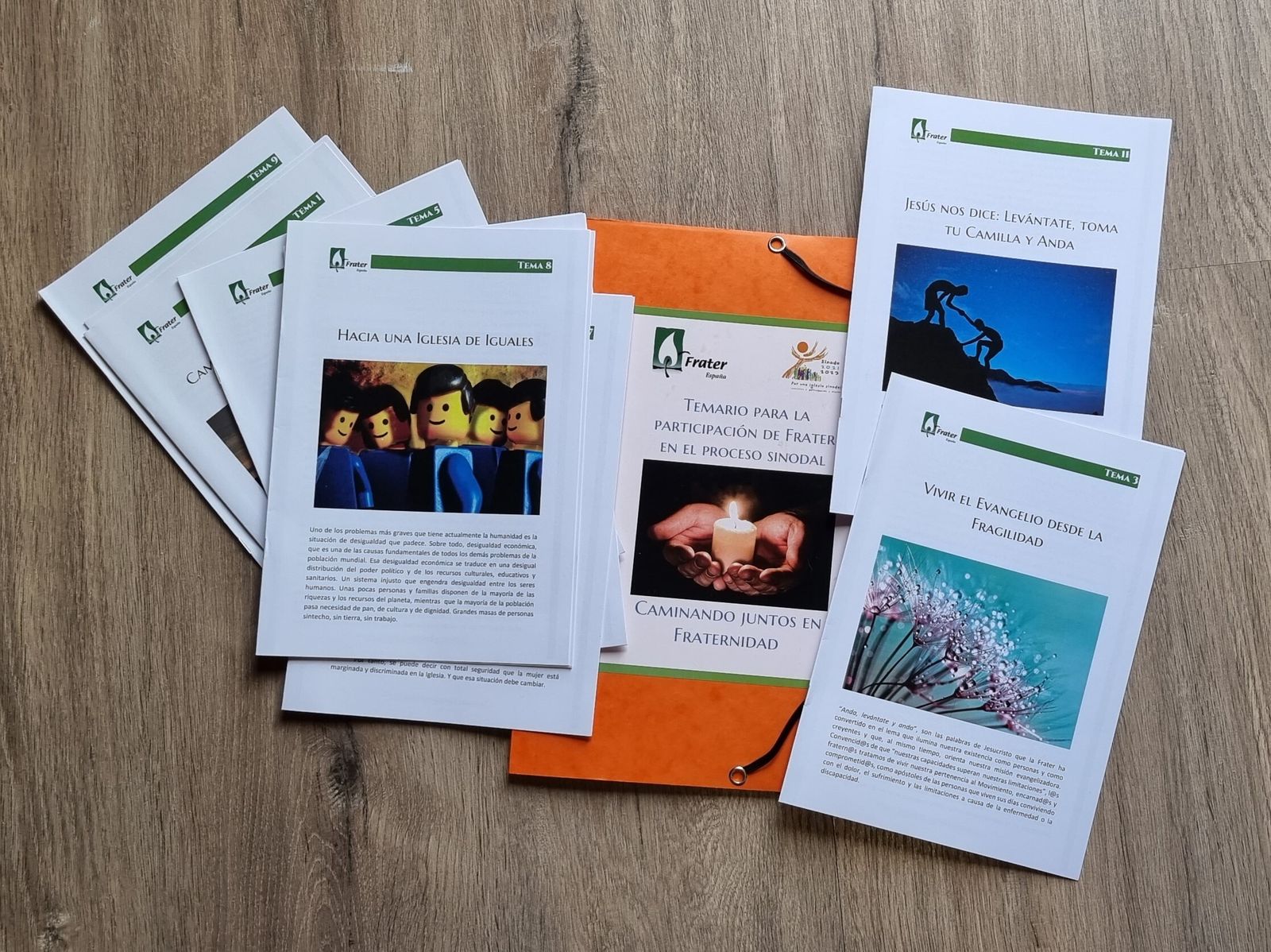 Temario de Frater para la consulta sinodal 2023