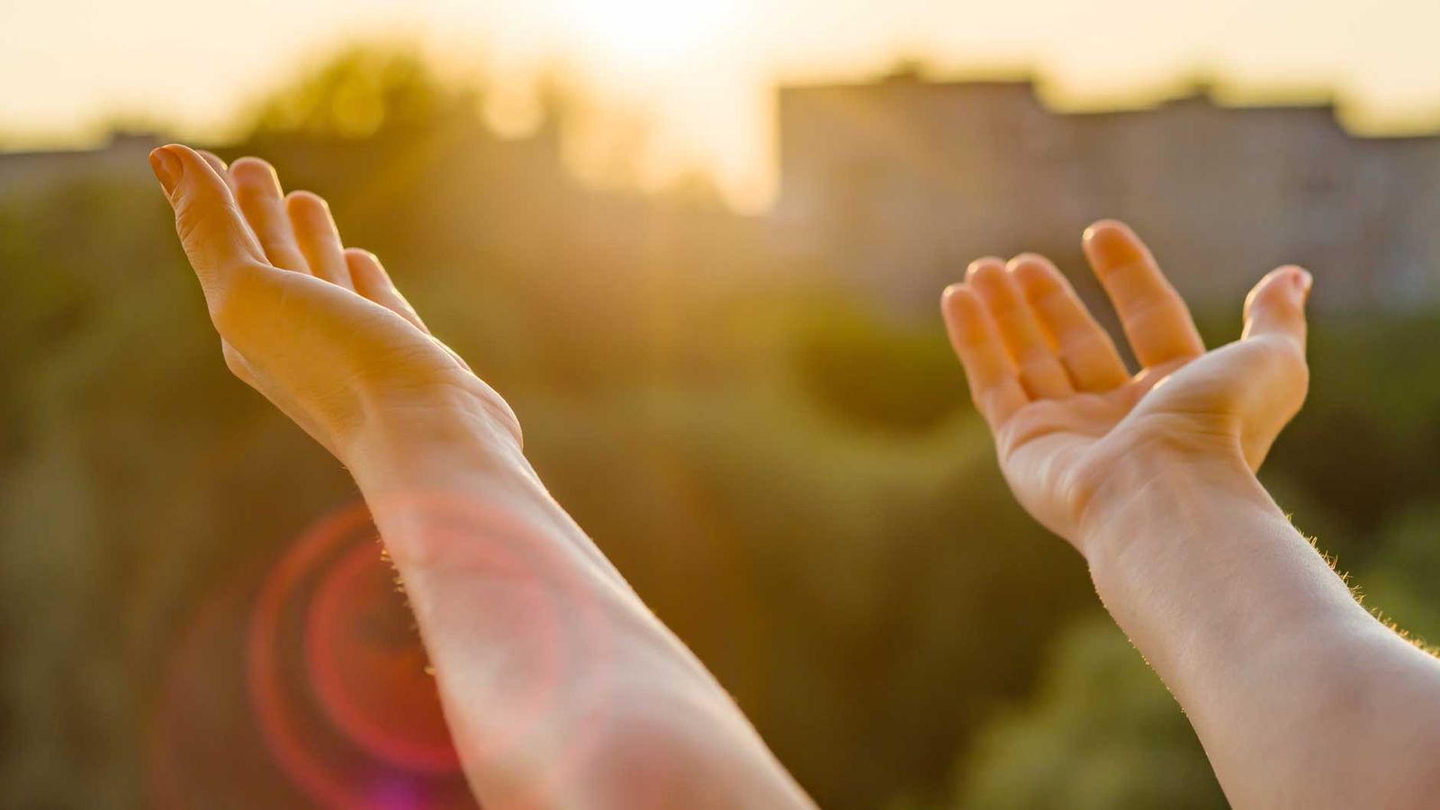 Lectio Urbana Orando en el parque