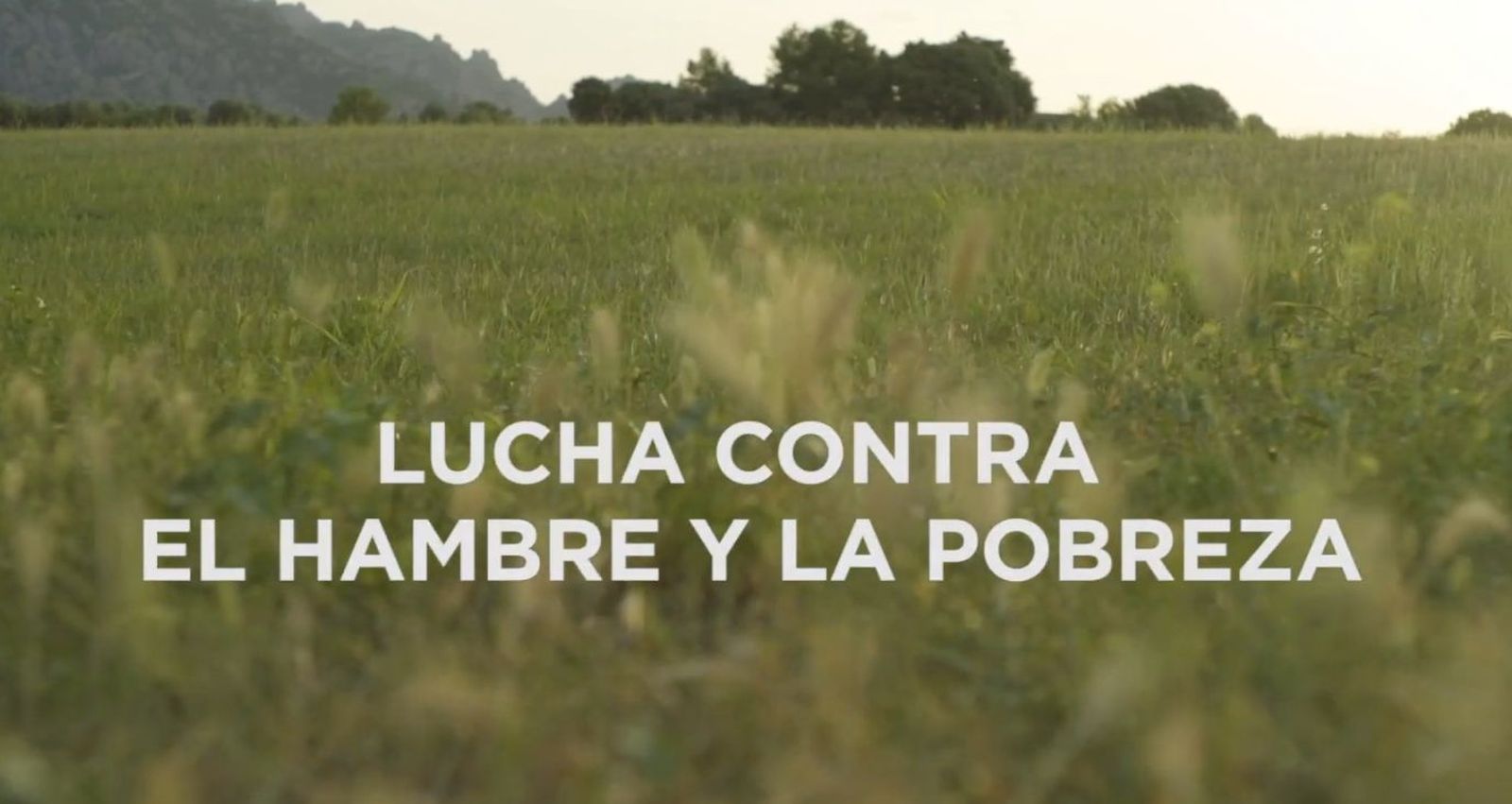 Testamentos solidarios