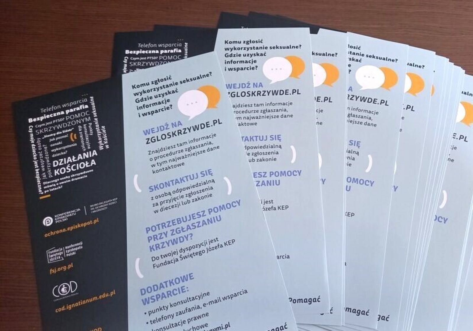 Campaña informativa aniabusos en la Iglesia católica de Polonia