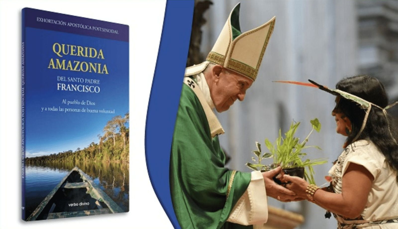 Cuatro años de Querida Amazonía